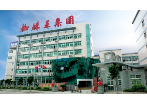 蜘蛛王集團